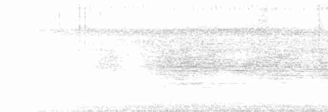 Длиннохвостая батара - ML619145944