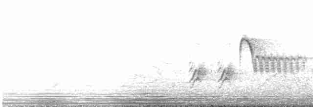 Тауї плямистий x східний - ML619146193