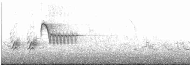 Тауї плямистий x східний - ML619146199