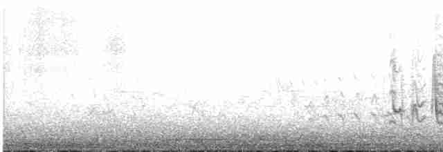 Віреон короткокрилий (підвид bellii/medius) - ML619146341