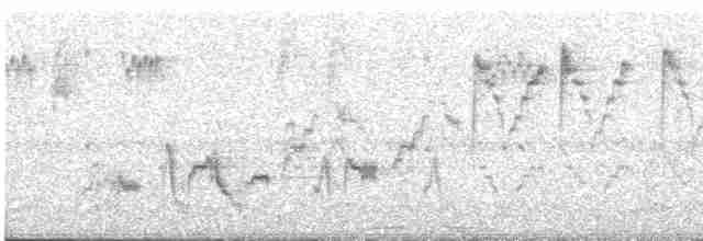 Дрізд-короткодзьоб Cвенсона - ML619146352