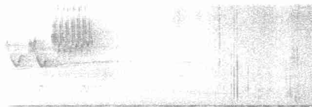 Cerulean Warbler - ML619146530