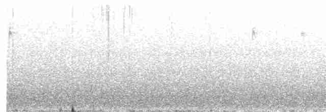 Townsend's x Hermit Warbler (hybrid) - ML619146557