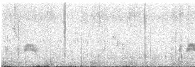 Серогрудый тиранн - ML619146676