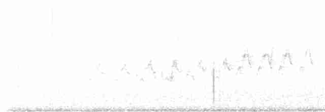 Yellow-rumped Warbler - ML619146870