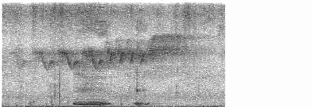 Cerulean Warbler - ML619147217