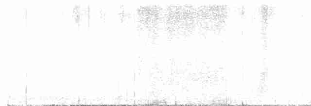 Bruant fauve (groupe megarhyncha) - ML619147604