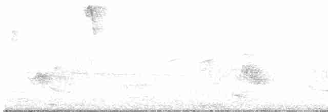 Дроздовая кукушка - ML619147736
