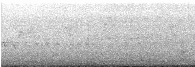 Синешапочный амазон - ML619148195