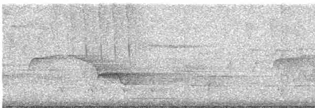 Cerulean Warbler - ML619148336