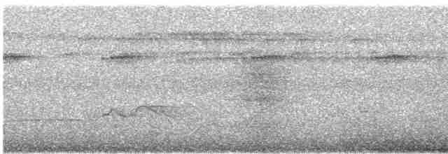 Pauraquenachtschwalbe - ML619149502