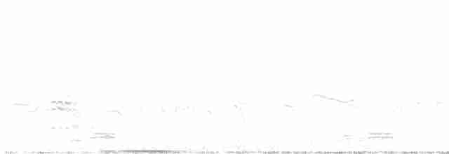 Great Reed Warbler - ML619149725