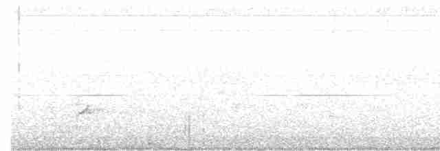 lesňáček modrokřídlý - ML619150206