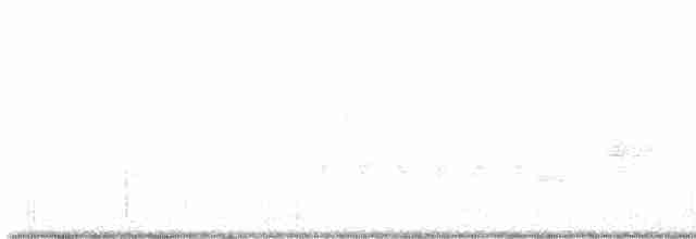 סבכון ערבות - ML619150374