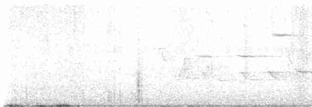 Blackpoll Warbler - ML619150630