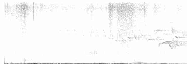 Chochín Hiemal - ML619150694