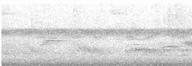 Голубокрылая червеедка - ML619150917