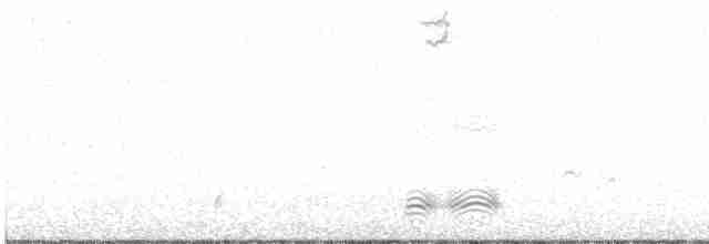 fiskekråke - ML619151128