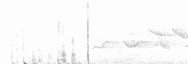 Ширококрылый канюк - ML619151267