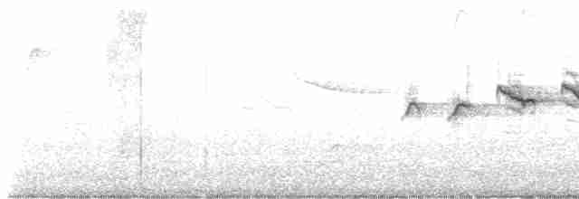 Swainson's Warbler - ML619151394