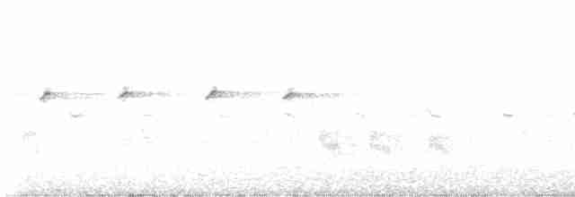 棕扇尾鶯 - ML619152066