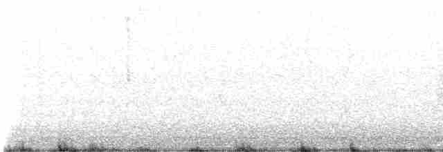 Warbling Vireo (Eastern) - ML619152071