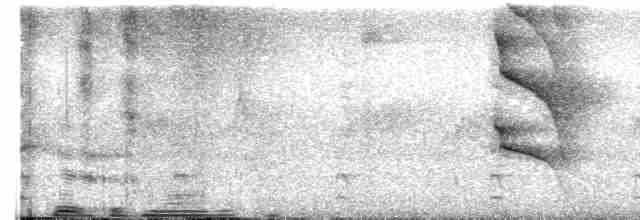 Spot-crowned Woodcreeper - ML619152110