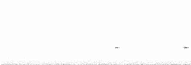 Boz Başlı İnekkuşu - ML619152211