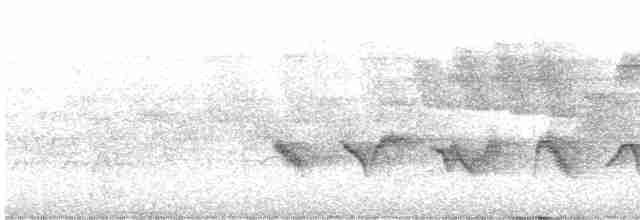 Kara Kanatlı Piranga - ML619152824