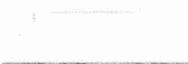 Çekirge Sesli Çayır Serçesi - ML619153816