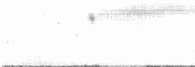 Çekirge Sesli Çayır Serçesi - ML619153839