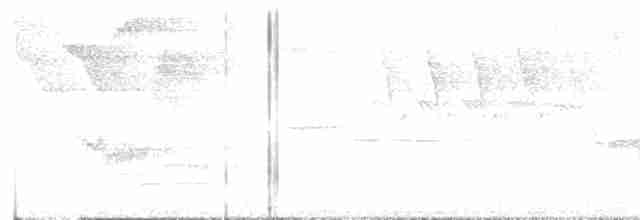 Cerulean Warbler - ML619153963