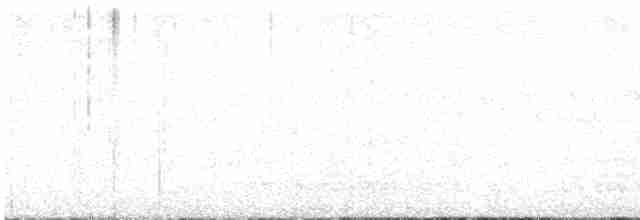 lesňáček černobílý - ML619154111