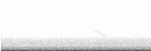 Gri Yanaklı Bülbül Ardıcı - ML619154297