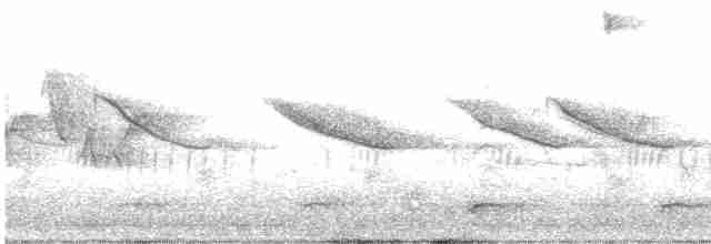 Canada Goose (moffitti/maxima) - ML619154764