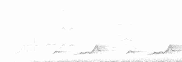 Schwarzkehl-Nachtschwalbe - ML619154831