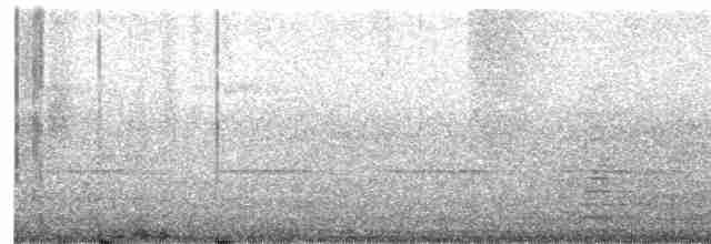 Savannennachtschwalbe - ML619154876