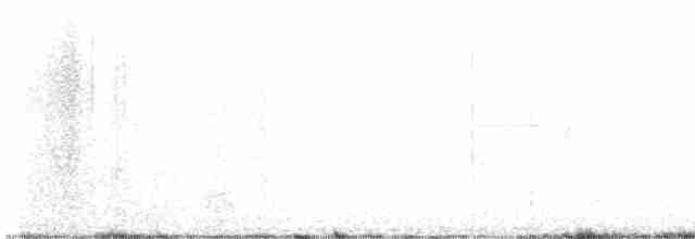 Широкохвостый колибри - ML619154954