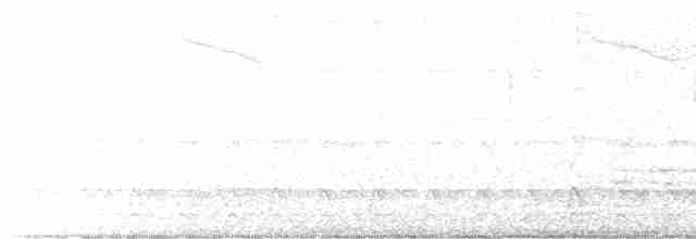 Kuzey Amerika Kara Ağaçkakanı - ML619154961