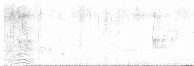 疣鼻天鵝 - ML619155522