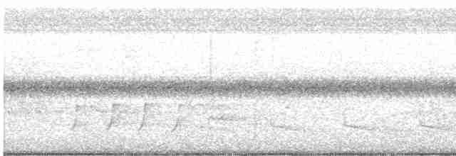 Paruline à gorge grise - ML619155581