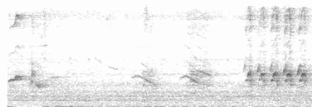 Тремблер прямодзьобий - ML619155650
