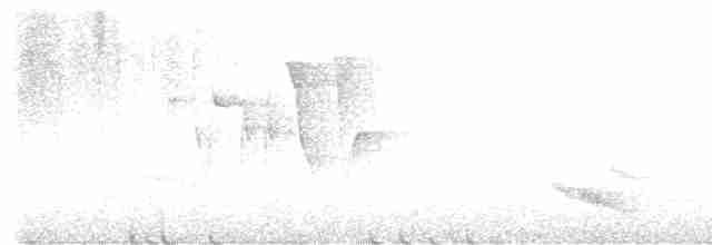 Дрізд-короткодзьоб бурий - ML619155697