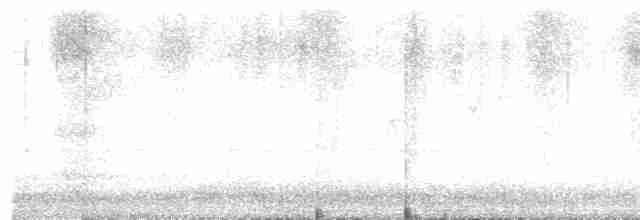 疣鼻天鵝 - ML619155698