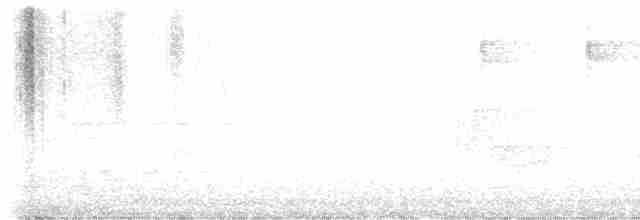 lesňáček modrohřbetý - ML619155713