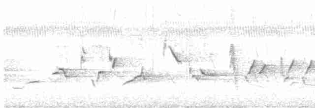 Oriole des vergers - ML619155871