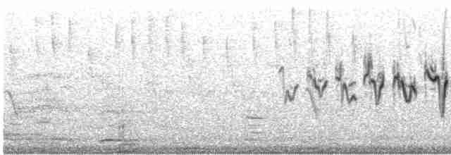 キヅタアメリカムシクイ（coronata） - ML619155900