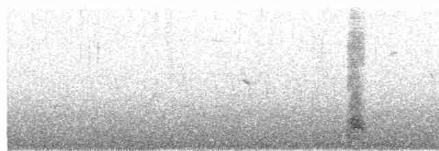 Yellow-crowned Night Heron - ML619156053