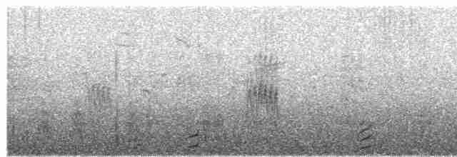 vlaštovka pestrá - ML619156138