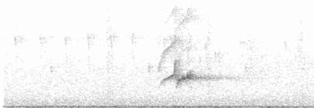 Sarı Karınlı Sinekkapan - ML619156149